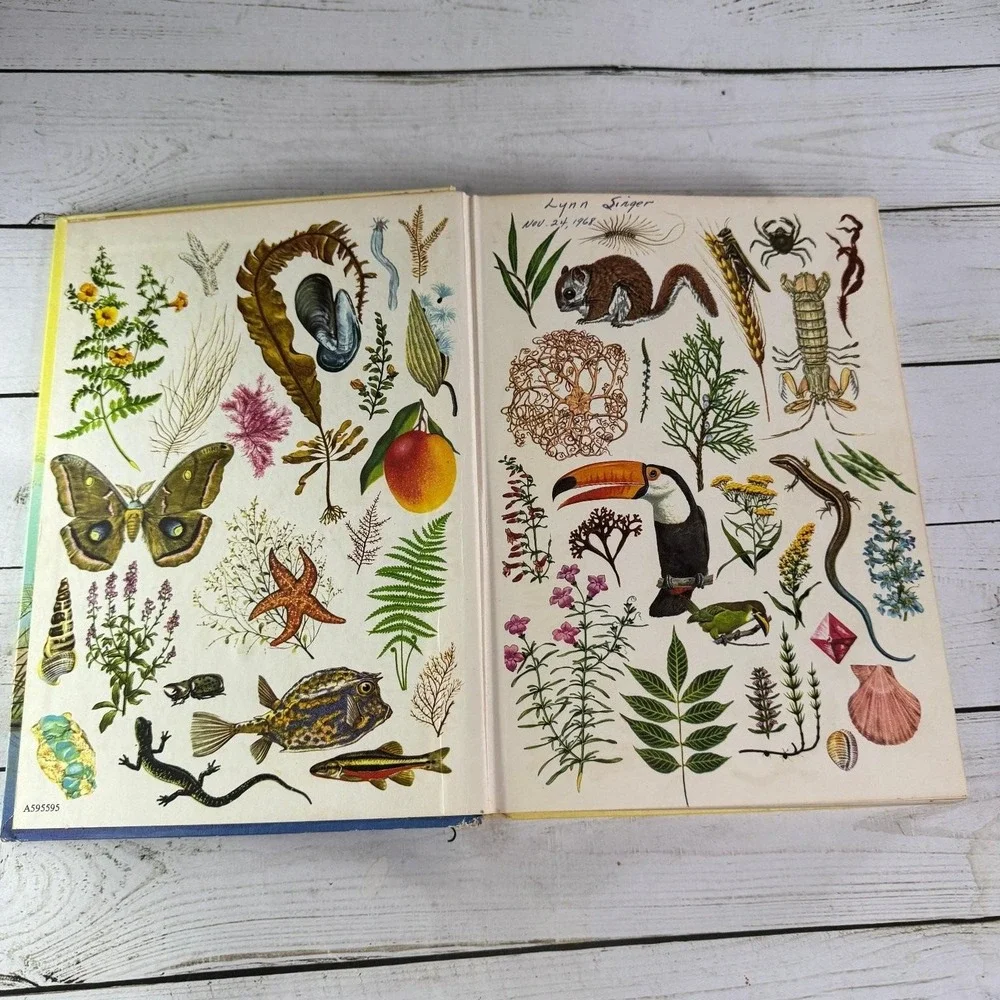 New Golden Treasury of Natural History Parker 1968 1st Print Golden Press